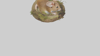 Field Mouse hiding model 3D model