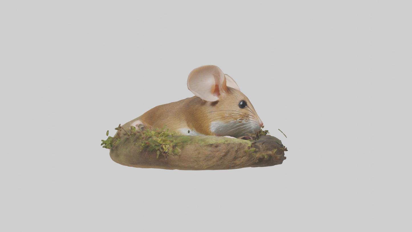 Field Mouse hiding model 3D model