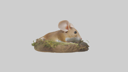 Field Mouse hiding model 3D model
