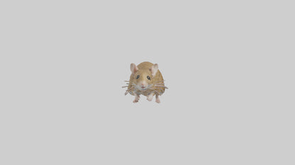 Field Mouse running model VR / AR / low-poly