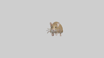 Field Mouse running model VR / AR / low-poly