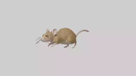 Field Mouse running model VR / AR / low-poly