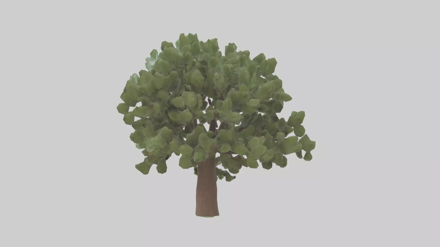 Fig tree model 3D model