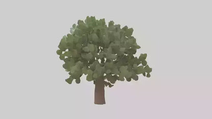 Fig tree model 3D model