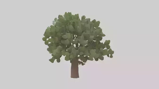 Fig tree model 3D model