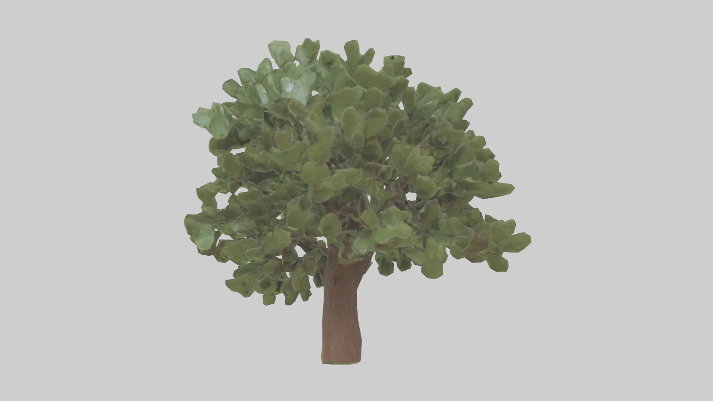 Fig tree model 3D model