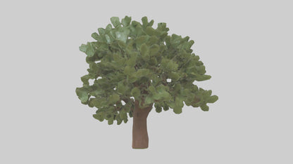 Fig tree model 3D model