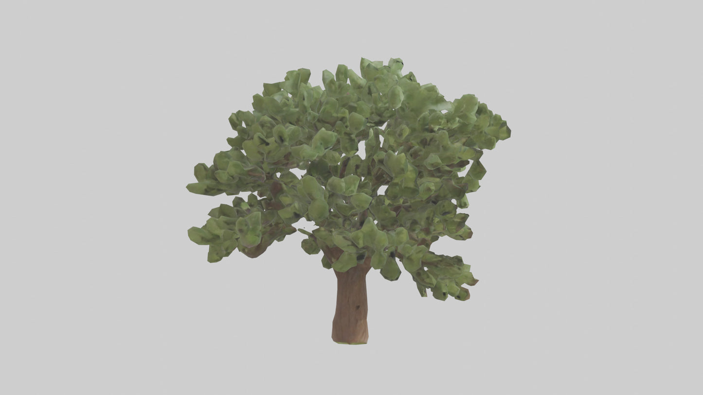 Fig tree model 3D model