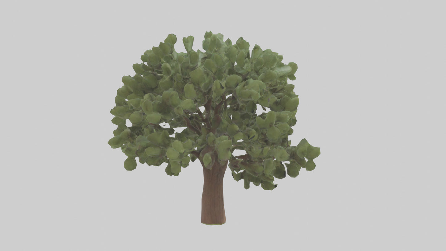 Fig tree model 3D model