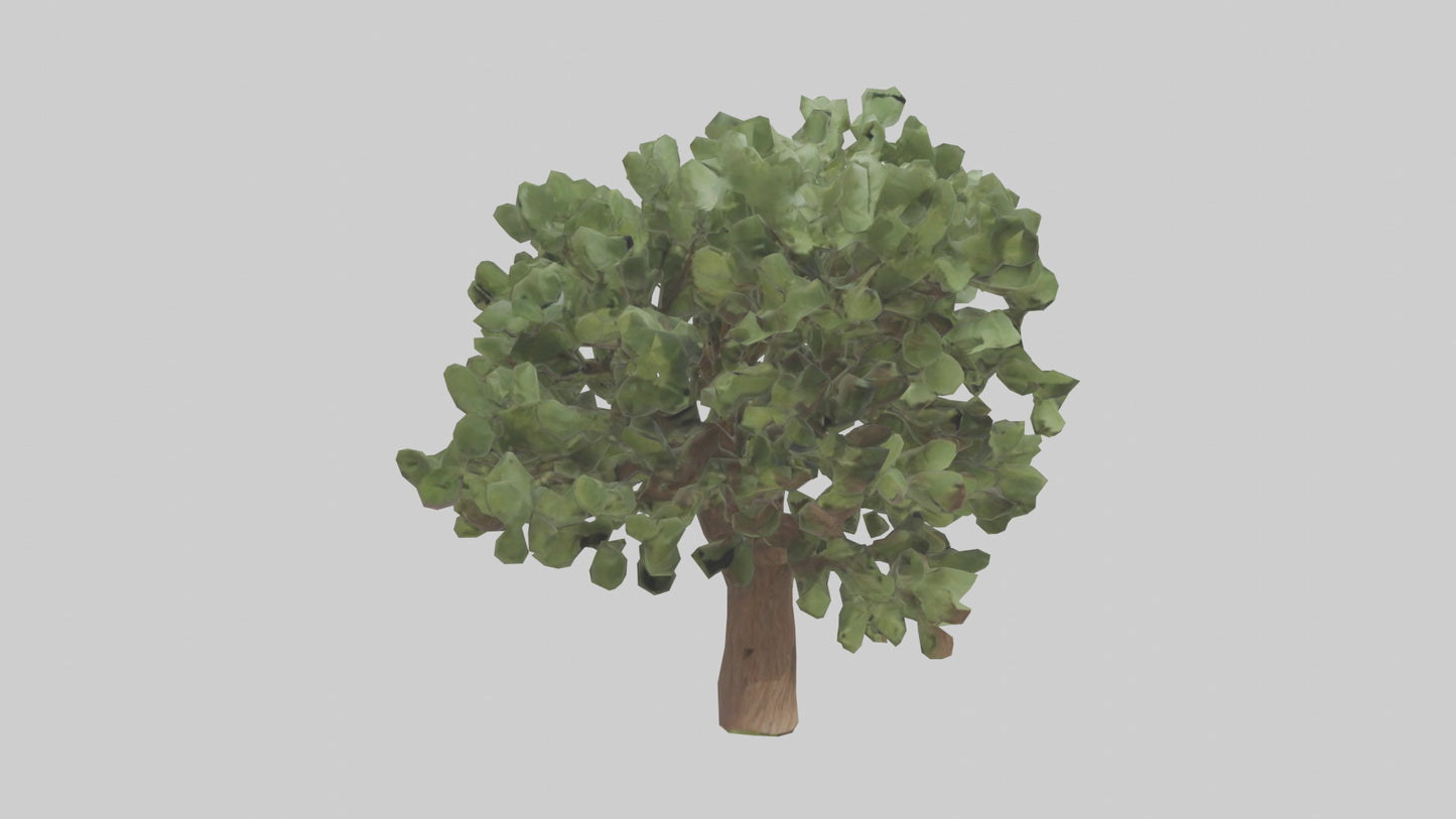 Fig tree model 3D model