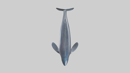 Fin Whale statue model 3D model
