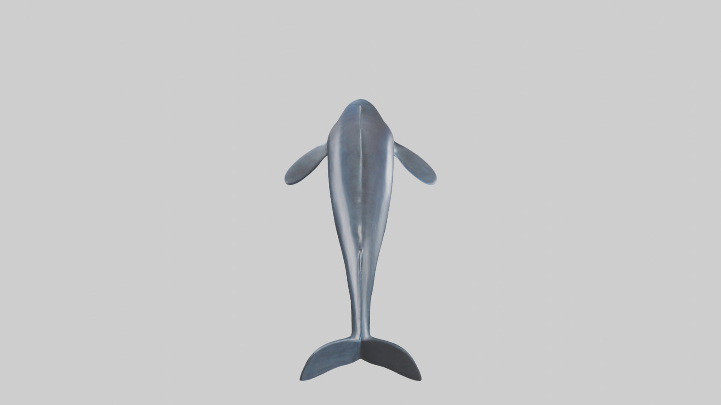 Fin Whale statue model 3D model