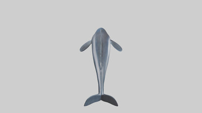 Fin Whale statue model 3D model