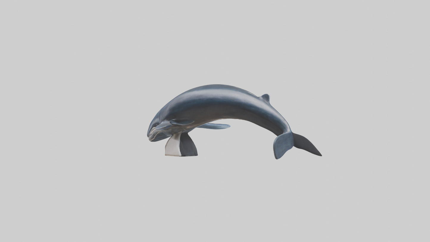 Fin Whale statue model 3D model