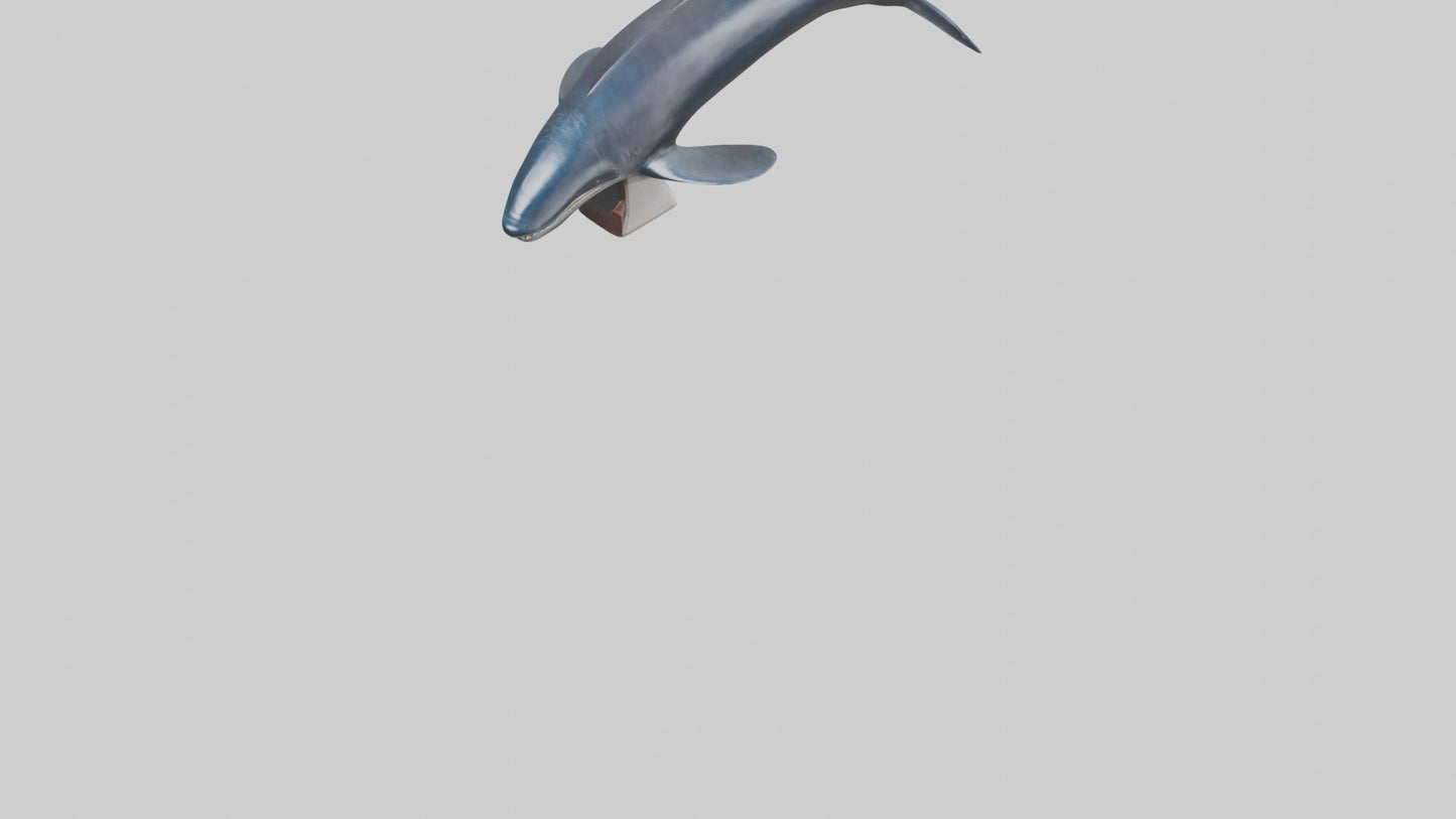 Fin Whale statue model 3D model