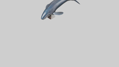 Fin Whale statue model 3D model