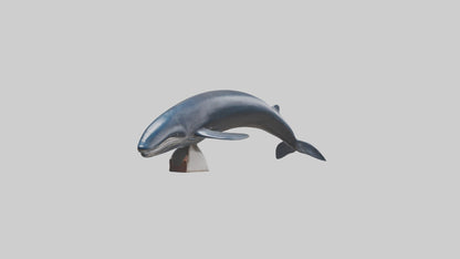 Fin Whale statue model 3D model