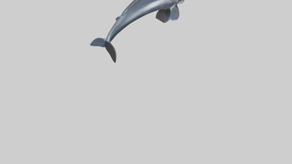Fin Whale statue model 3D model