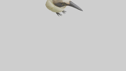 Finch Beak Model VR / AR / low-poly