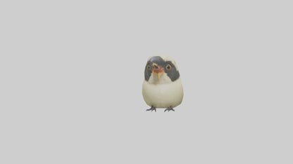 Finch Beak Model VR / AR / low-poly