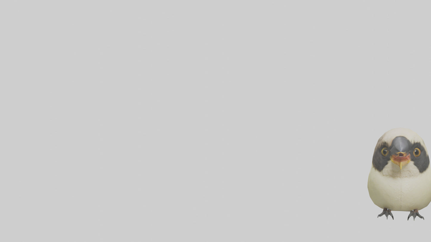 Finch Beak Model VR / AR / low-poly