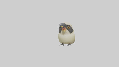 Finch Beak Model VR / AR / low-poly