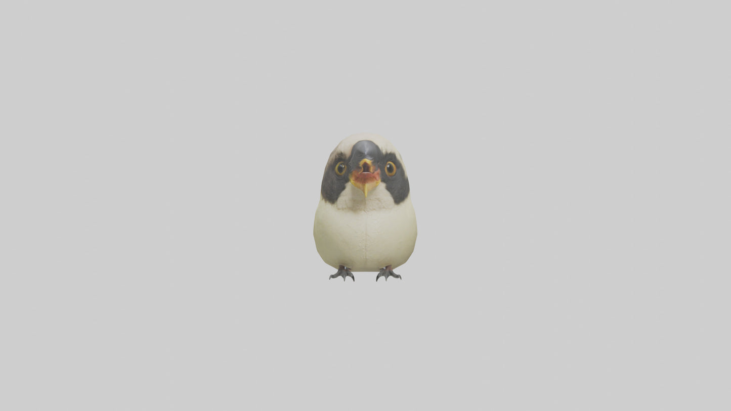 Finch Beak Model VR / AR / low-poly