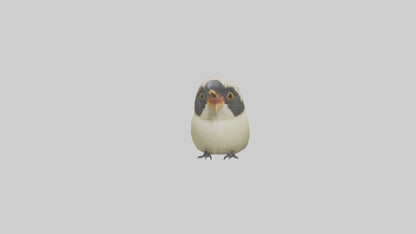 Finch Beak Model VR / AR / low-poly