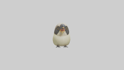 Finch Beak Model VR / AR / low-poly
