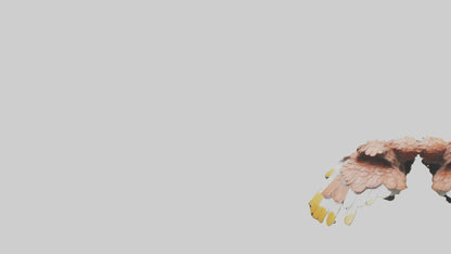 3D model Finch Wings Model VR / AR / low-poly