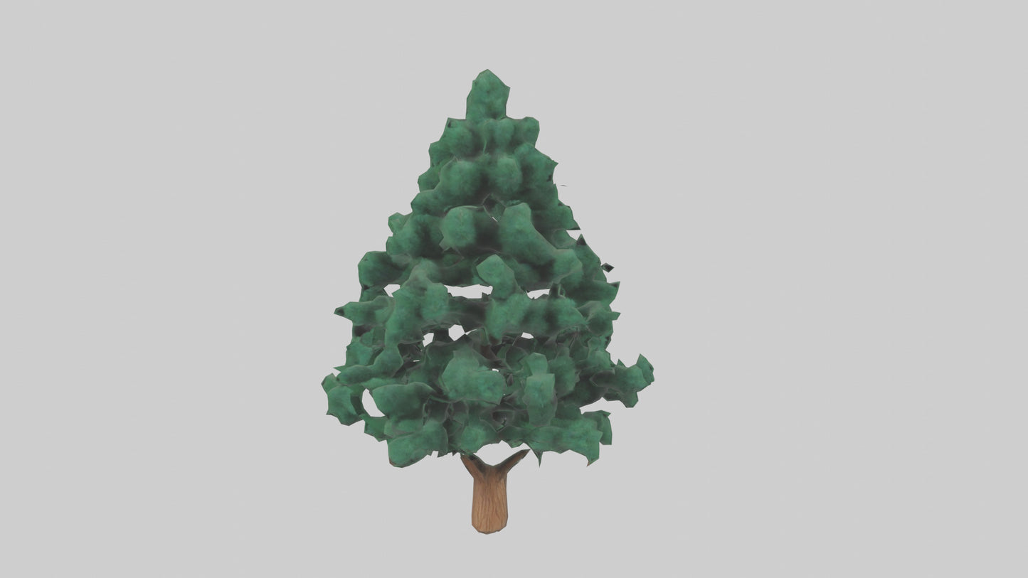3D model Fir tree model VR / AR / low-poly