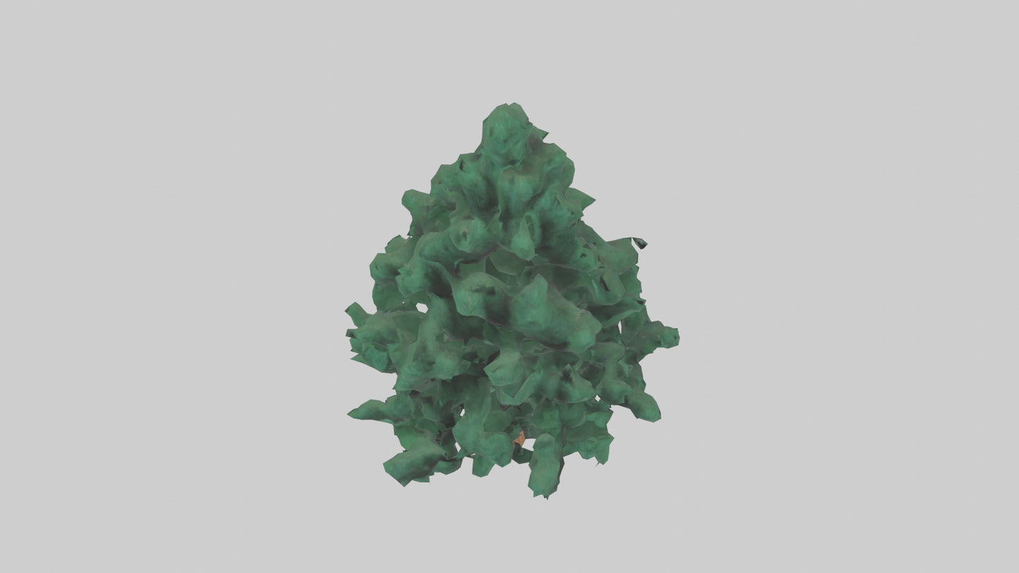 3D model Fir tree model VR / AR / low-poly