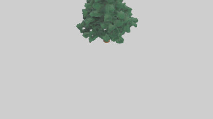 3D model Fir tree model VR / AR / low-poly