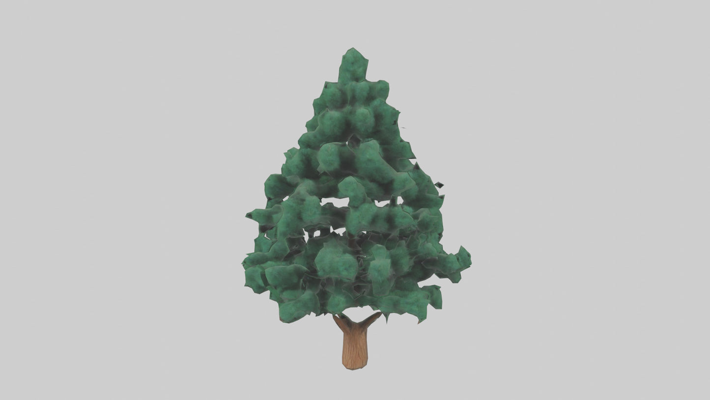 3D model Fir tree model VR / AR / low-poly