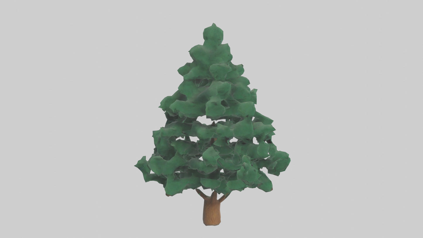 3D model Fir tree model VR / AR / low-poly