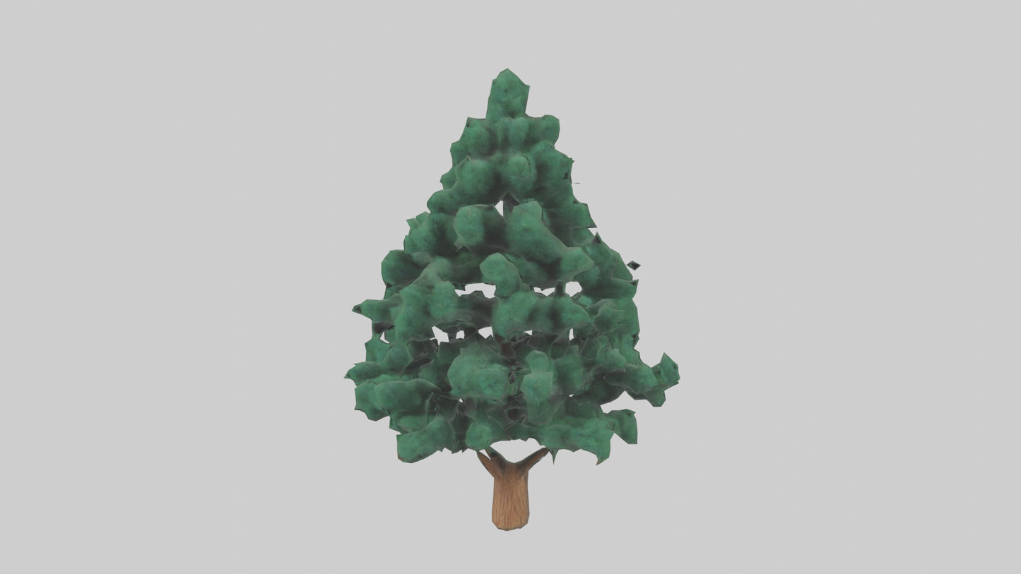 3D model Fir tree model VR / AR / low-poly