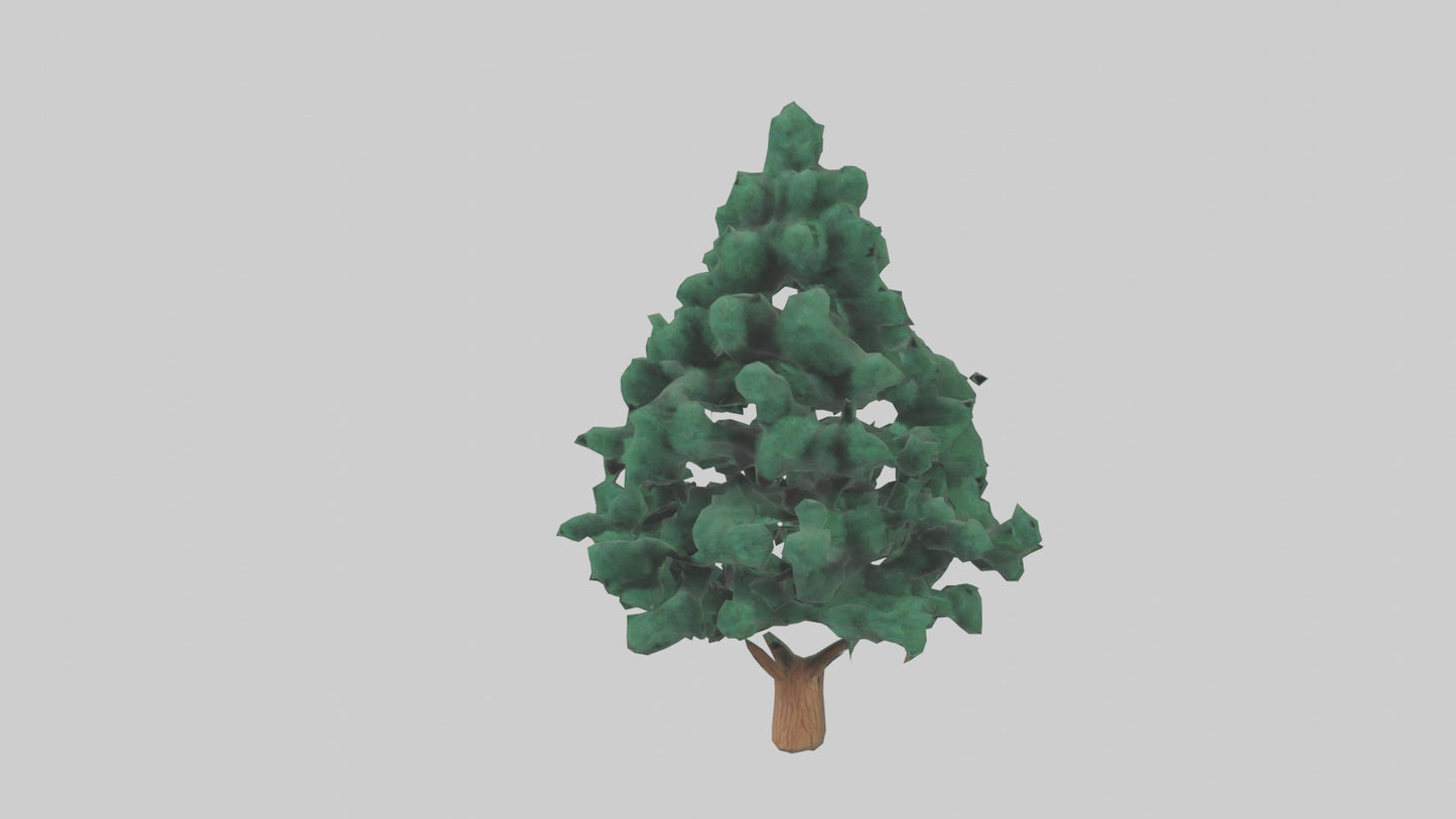 3D model Fir tree model VR / AR / low-poly