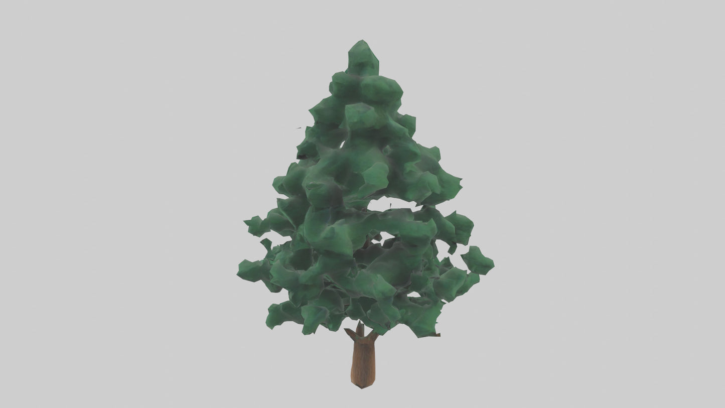 3D model Fir tree model VR / AR / low-poly