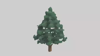 3D model Fir tree model VR / AR / low-poly