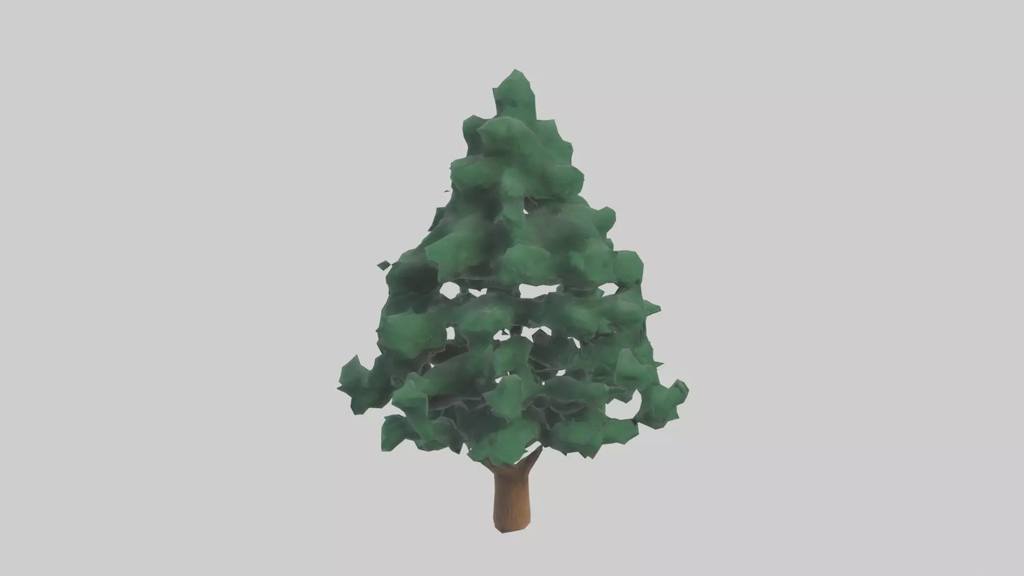 3D model Fir tree model VR / AR / low-poly