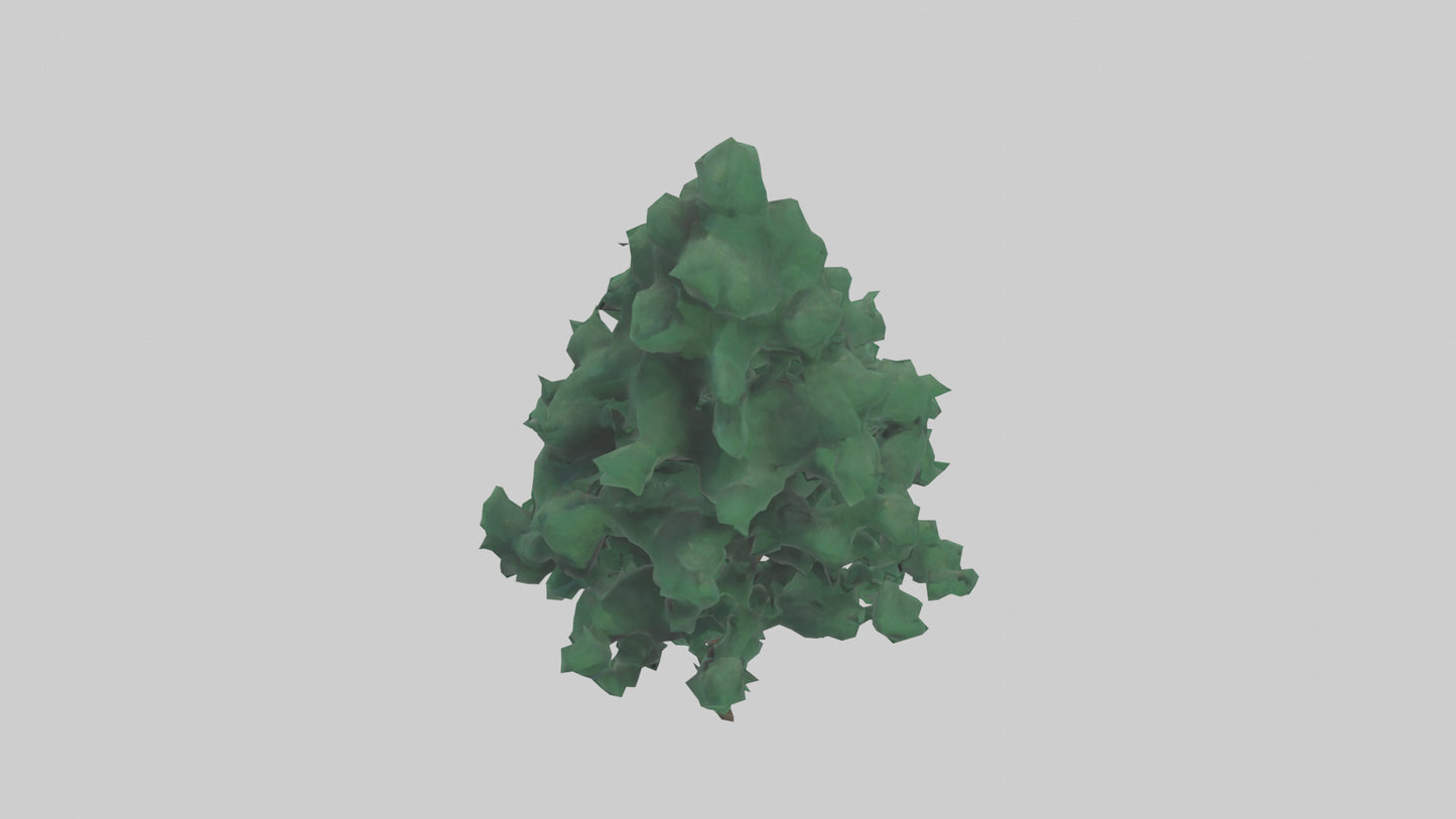 3D model Fir tree model VR / AR / low-poly