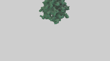 3D model Fir tree model VR / AR / low-poly