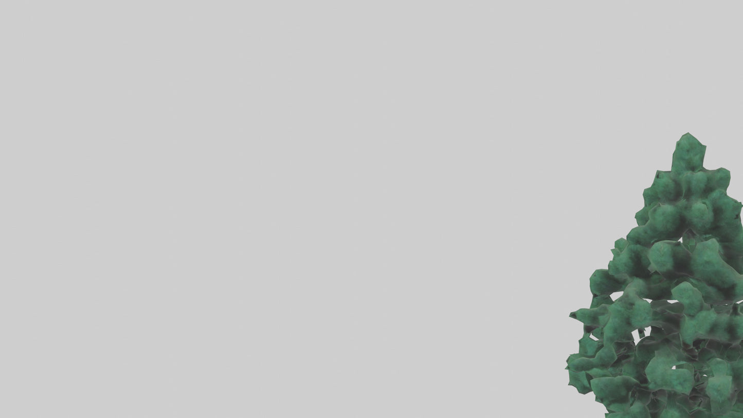 3D model Fir tree model VR / AR / low-poly