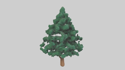 3D model Fir tree model VR / AR / low-poly