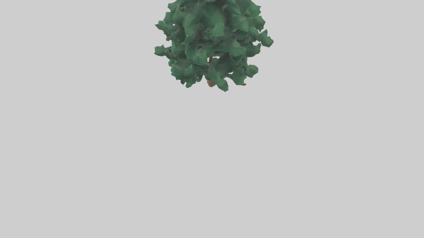 3D model Fir tree model VR / AR / low-poly
