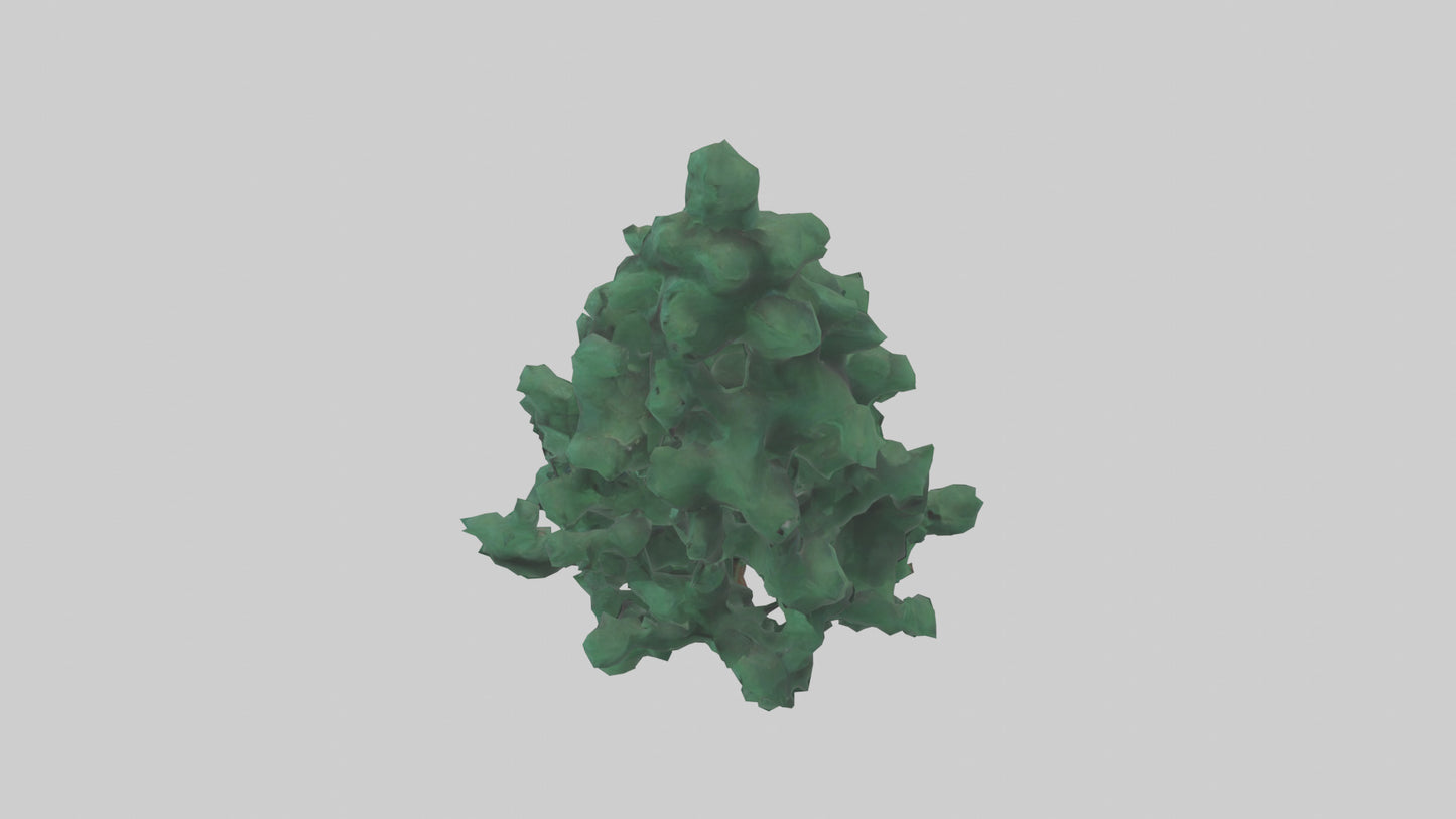 3D model Fir tree model VR / AR / low-poly