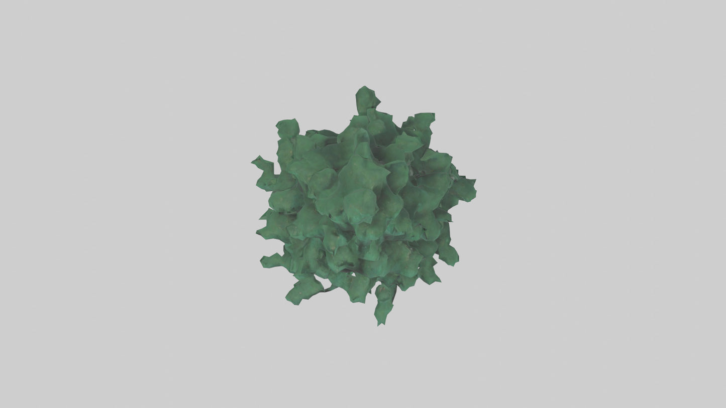 3D model Fir tree model VR / AR / low-poly