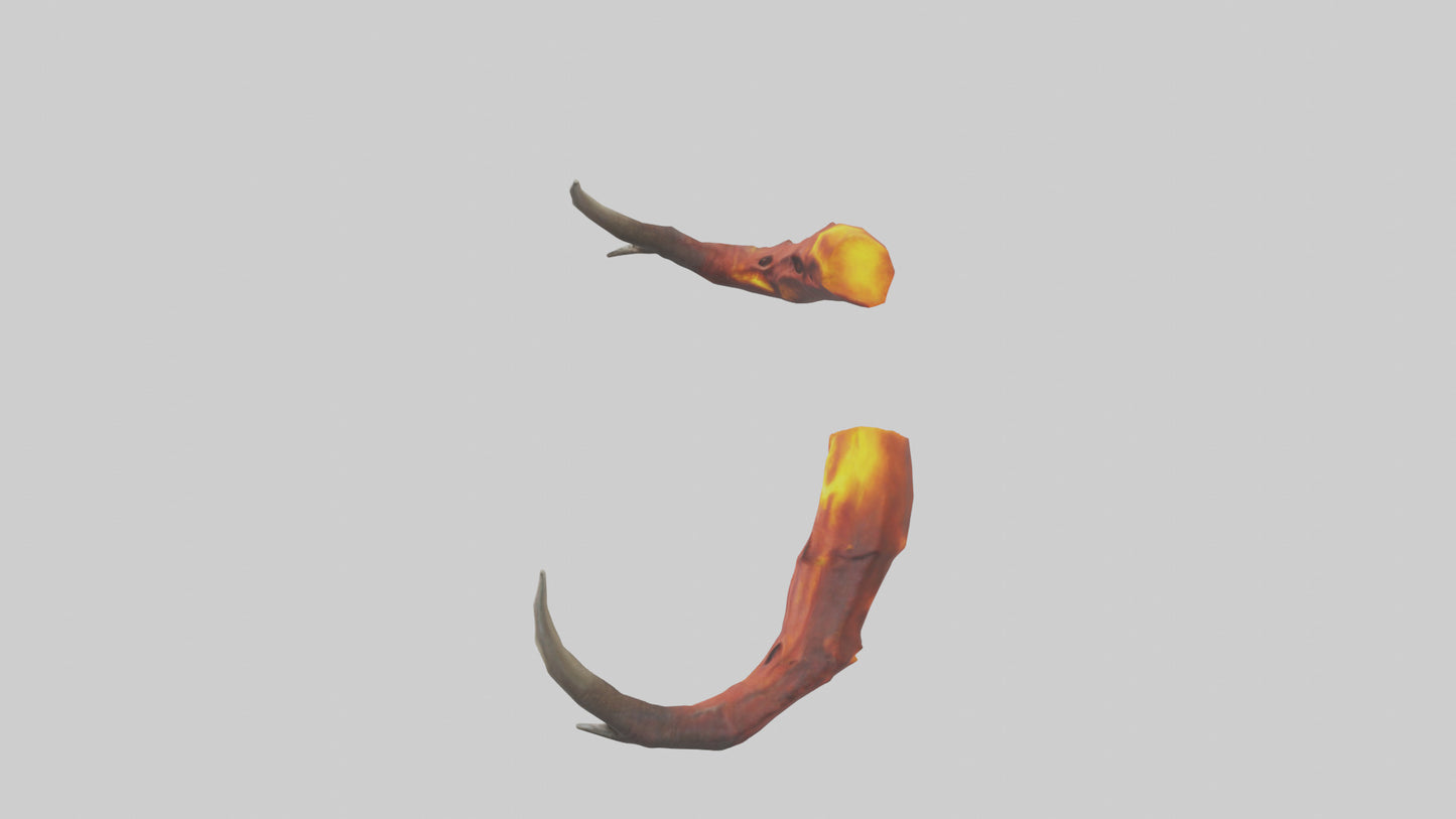 Fire Demons Horns model 3D model
