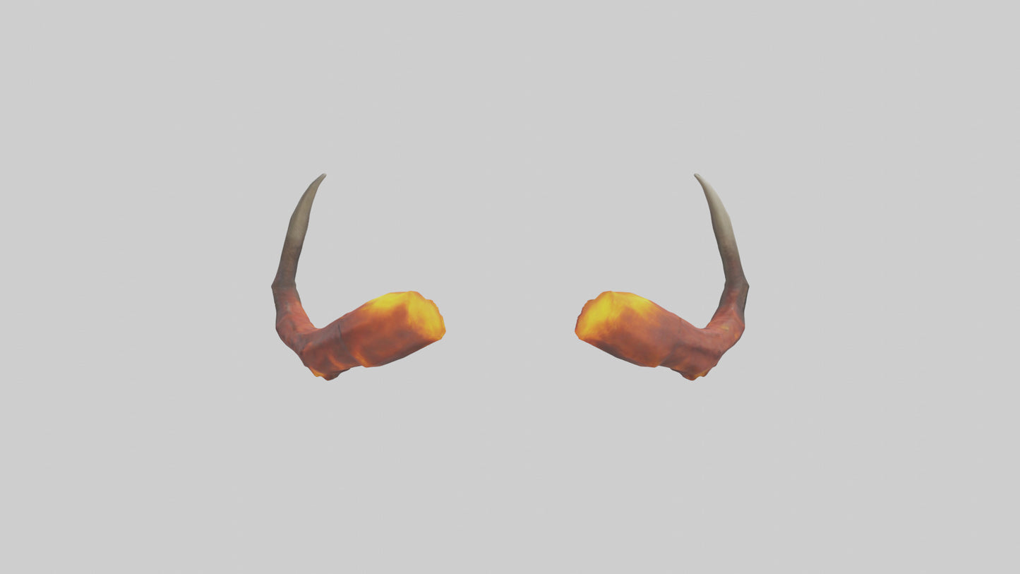 Fire Demons Horns model 3D model