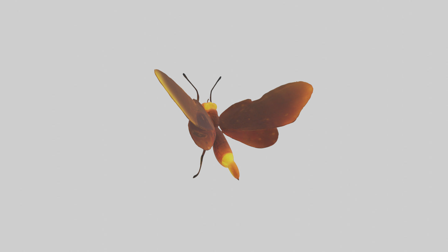 3D model Firefly glowing model VR / AR / low-poly